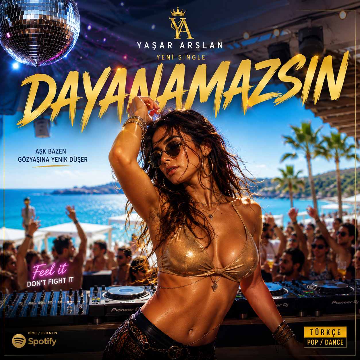 Pochette de Dayanamazsın